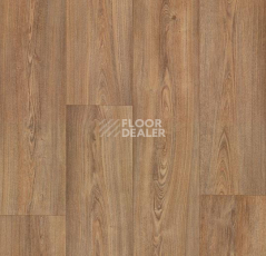 Линолеум Forbo Eternal Wood 10362 warm chestnut фото 1 | FLOORDEALER